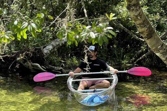 Private Crystal Clear 2 HR Kayak/Paddle Rental on Rainbow River - KP Hole Park Start: Arrive Early, Then Paddle Easy
