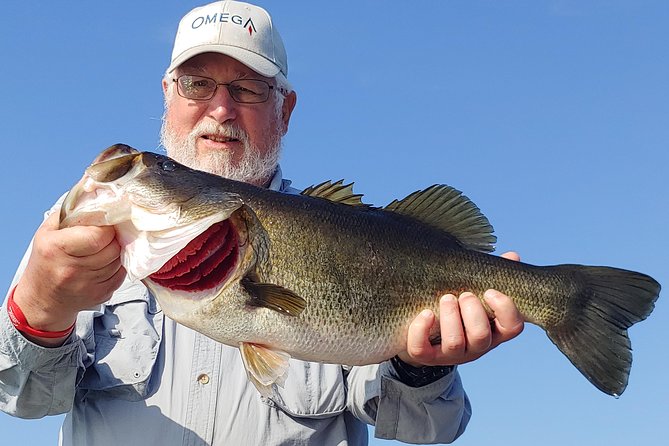 Private Lake Tohopekaliga Fishing Charter near Orlando - How the 4-Hour Trip Works: Big Toho Marina to the Lake and Back