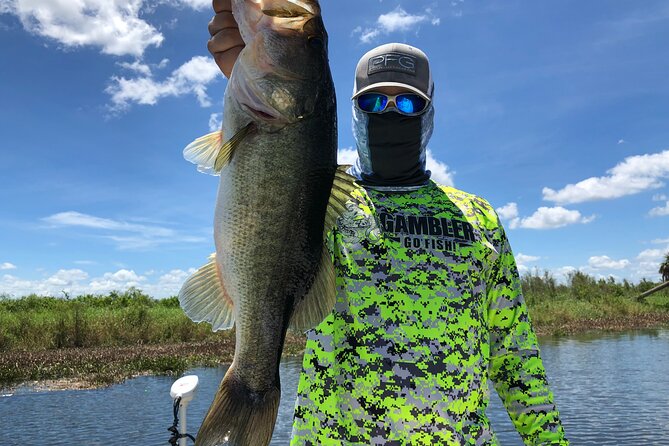 Private Pontoon Fishing Charter on Lake Tohopekaliga in FL - Wildlife spotting: bald eagles and alligators, on your schedule