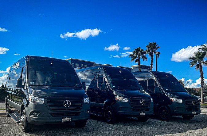 Private service, Airport, Hotels to Port Canaveral terminals. - Who Should Book This Transfer?
