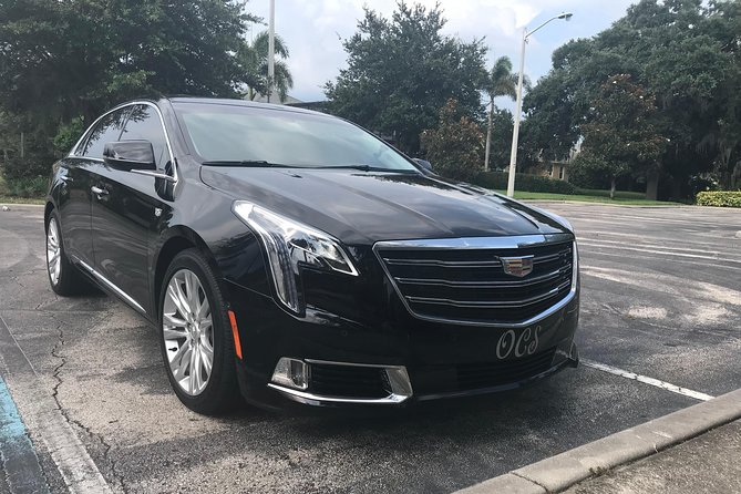 Private Transfer: Orlando Airport MCO to Lake Buena Vista Hotels - Key Things I’d Watch for Before You Book