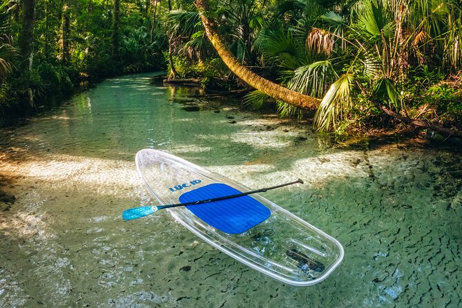 Rainbow Springs: Clear Kayak & Snorkel Eco Tour - Your two-hour route: KP Hole Park, Indian River Creek, and the way to the headsprings