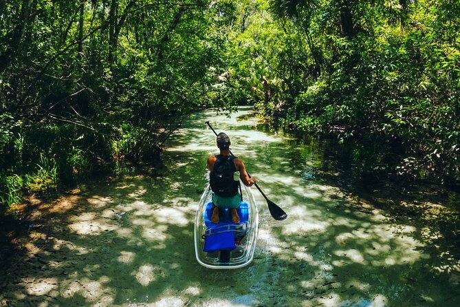 Rainbow Springs: Clear Kayak & Snorkel Eco Tour - Gear and comfort: what’s included, what you’ll need to bring