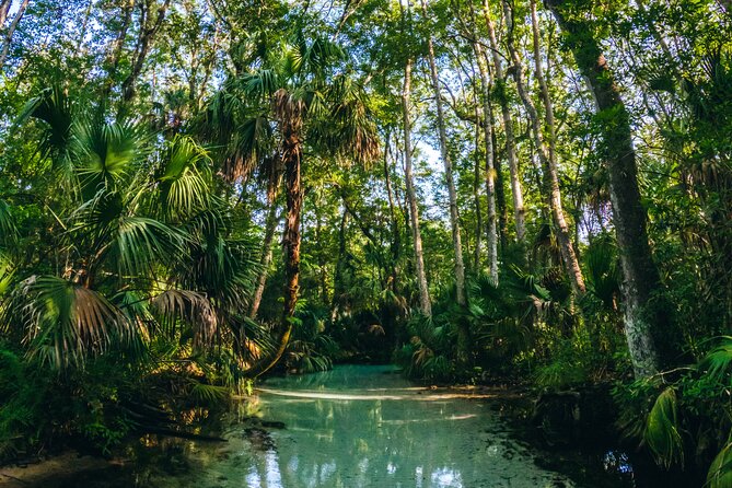 Rainbow Springs: Clear Kayak & Snorkel Eco Tour - Heat, hydration, and what to pack for Florida paddling