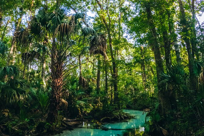 Rainbow Springs: Clear Kayak & Snorkel Eco Tour - KP Hole Park: how to use the time before and after your paddle