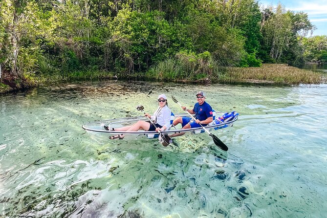 Rainbow Springs: Clear Kayak & Snorkel Eco Tour - Is it worth the price? Value for a small-group eco outing