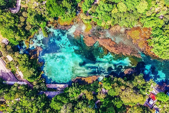 Rainbow Springs: Clear Kayak & Snorkel Eco Tour - Guide-led nature spotting: what Josh and Aly tend to focus on