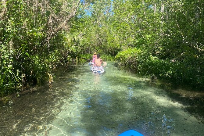 Rainbow Springs Electric Paddle Tour - Key things to know before you go