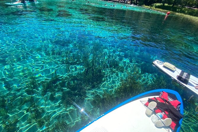 Rainbow Springs Electric Paddle Tour - Instruction that actually helps first-timers: the Richard factor