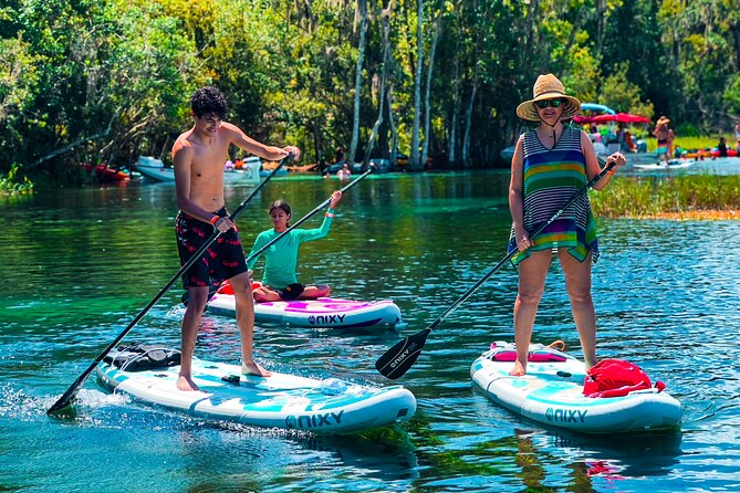 Rainbow Springs Paddle Board Tour - Key highlights (what makes this tour worth your time)
