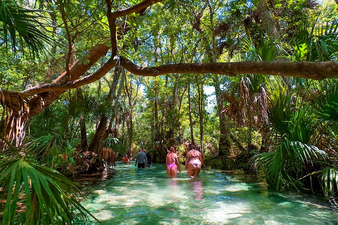 Rainbow Springs Paddle Board Tour - Rainbow Springs SUP: why the “clear water” matters so much