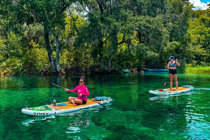 Rainbow Springs Paddle Board Tour - Photos and video: the included extras that actually help