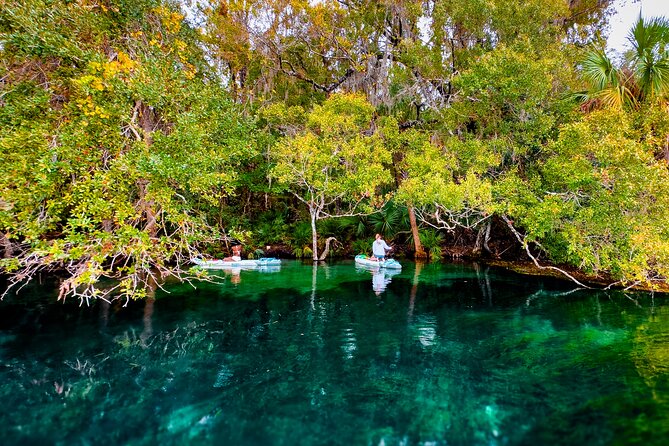 Rainbow Springs Paddle Board Tour - Price and value: what $69 covers (and what you should budget)