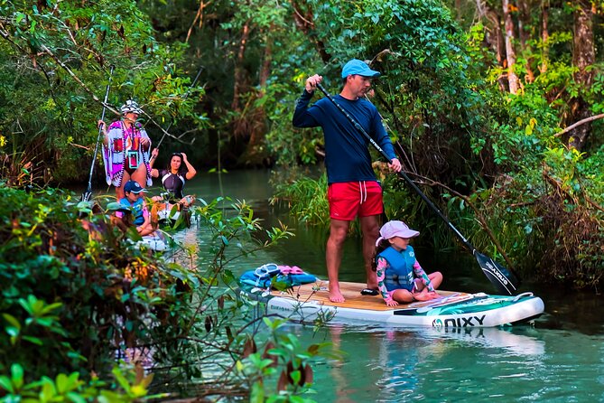 Rainbow Springs Paddle Board Tour - The water you’ll paddle: depth, current, and where it gets easier