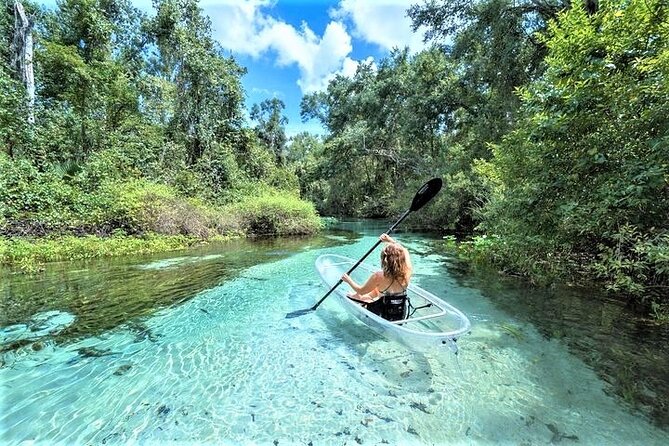 Rock Springs 2-Hour Glass Bottom Guided Kayak Eco Tour - Quick hits before you paddle Emerald Cut