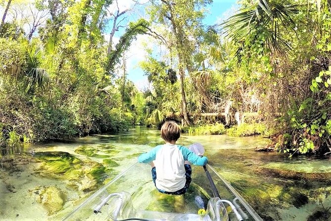 Rock Springs 2-Hour Glass Bottom Guided Kayak Eco Tour - Who this tour fits best (and who should skip)