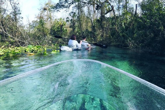 Rock Springs 2-Hour Glass Bottom Guided Kayak Eco Tour - Should you book Rock Springs 2-Hour Glass Bottom Kayak?