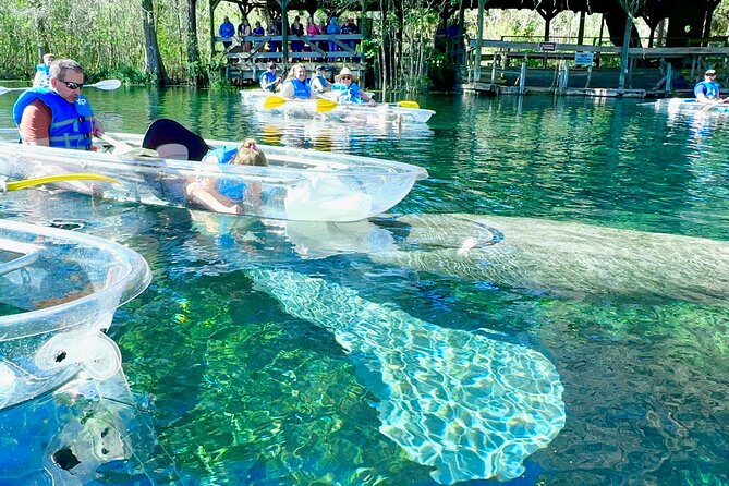 Sassy’s Silver Springs Kayak and Paddleboard Tours - Start at the Launch: What the First Minutes Feel Like