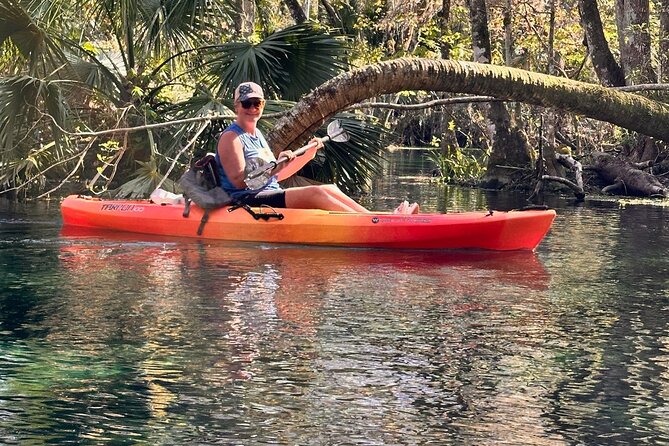 Sassy Silver Springs Kayak and Paddle Rental - Silver Springs by Kayak: Why This Feels Like a True Orlando Shortcut