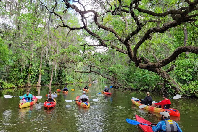 Scenic Half-Day Kayak or Paddleboard Rental – Dora Canal - Key things I’d aim for on your Dora Canal paddle