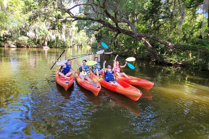 Scenic Half-Day Kayak or Paddleboard Rental – Dora Canal - Getting to the water: Tavares makes launching feel easy