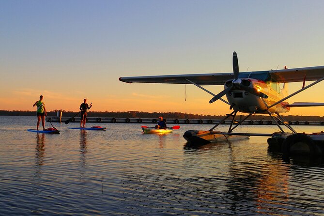 Scenic Half-Day Kayak or Paddleboard Rental – Dora Canal - Wildlife and cypress shade: what makes the Dora Canal worth the trip
