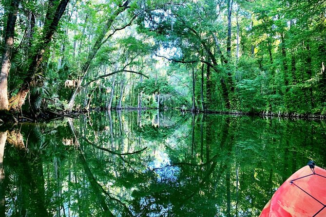 Scenic Half-Day Kayak or Paddleboard Rental – Dora Canal - Boat traffic and timing: how to keep it peaceful