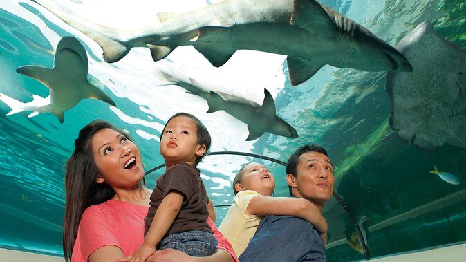 SEA LIFE Orlando Aquarium Admission Ticket at ICON Park - First stop at ICON Park: getting into SEA LIFE fast