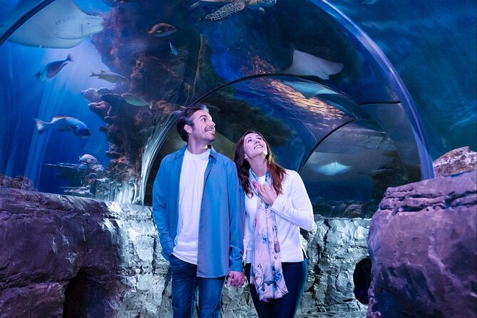 SEA LIFE Orlando Aquarium Admission Ticket at ICON Park - The real value question: $31.94 and whether it’s worth it