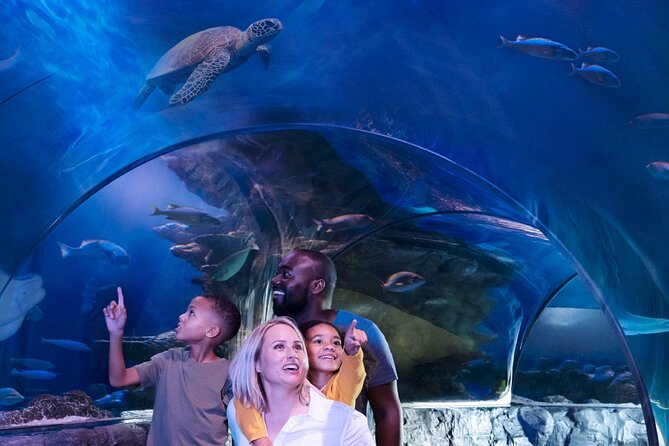 SEA LIFE Orlando Aquarium Admission Ticket at ICON Park - Practical tips that can save your time (and your mood)