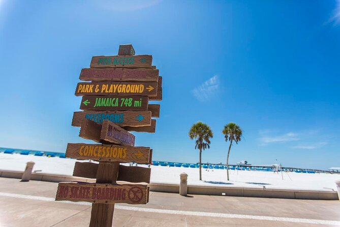 Sea Screamer Boat Cruise in Clearwater Beach with Transport - The Sea Screamer Speedboat Ride: Dolphins, Speed, and Comfort Tips
