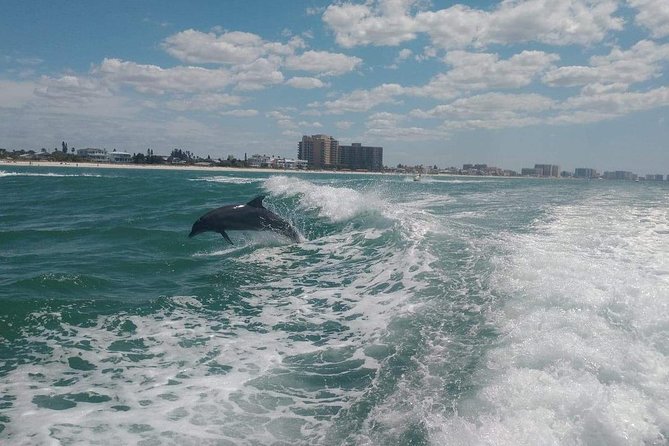 Sea Screamer Boat Cruise in Clearwater Beach with Transport - Pier 60: A Small Stop That Adds Real Variety