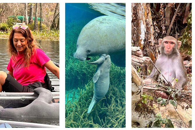 Silver Springs Clear Kayak Manatee, Monkey & Wildlife Adventures - Silver Springs in 2 hours: clear water, real animals, and simple fun