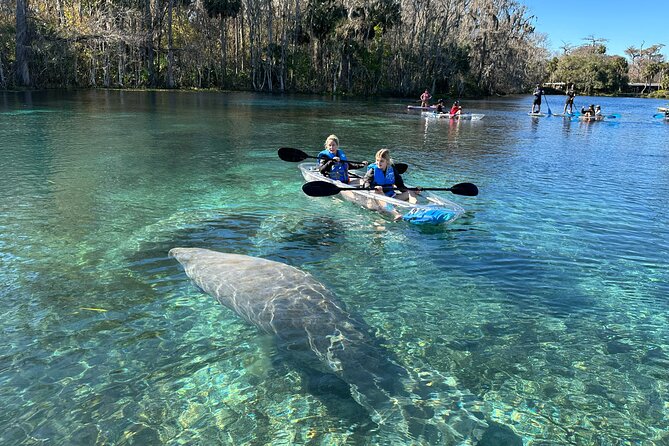 Silver Springs Clear Kayak Manatee, Monkey & Wildlife Adventures - Who should book this clear kayak trip—and who might skip it