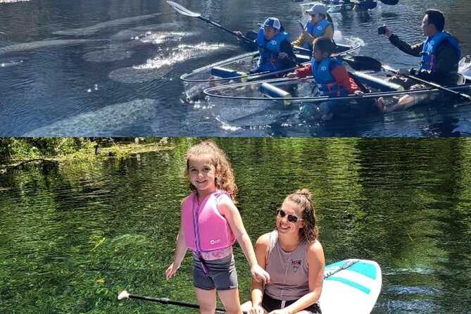 Silver Springs Clear Kayak Manatee, Monkey & Wildlife Adventures - Choosing your ride: clear kayaks, sit-on-top options, and strict weight limits