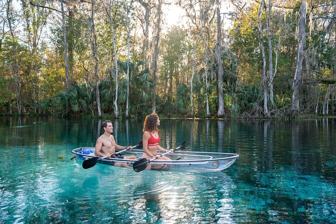Silver Springs: Clear Kayak Wildlife Adventure - Key Points That Matter Before You Paddle