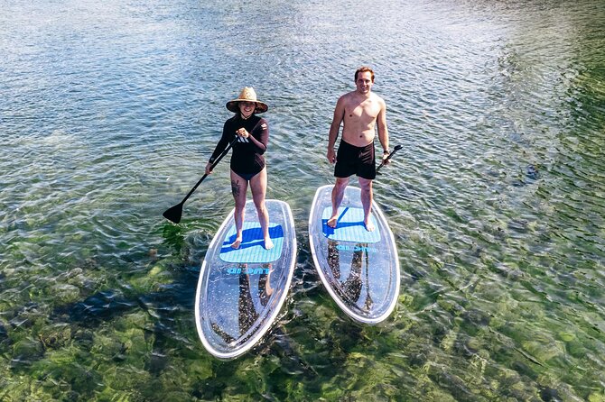 Silver Springs: Clear Kayak Wildlife Adventure - Gear and Comfort: Clear Kayaks, Life Jackets, and Dry Bags