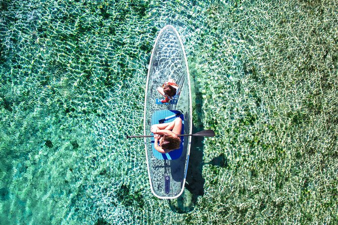 Silver Springs: Clear Kayak Wildlife Adventure - When to Go: Timing Your Chances Without Overplanning