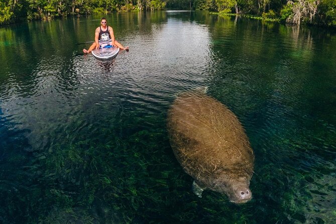 Silver Springs: Clear Kayak Wildlife Adventure - Who This Tour Is Perfect For (and Who Should Rethink It)