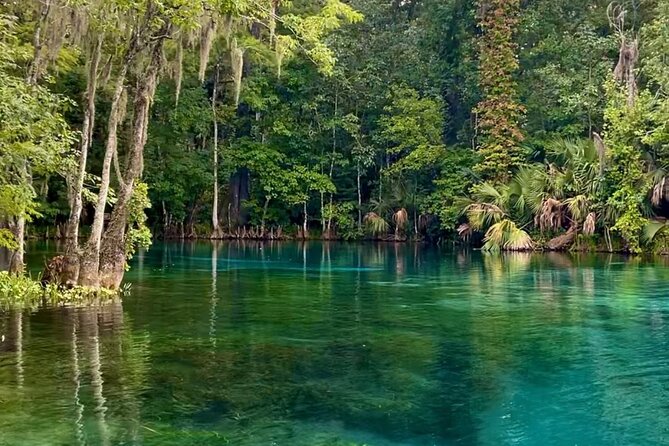 Silver Springs: Clear Kayaking Wildlife Tour - Price and Value: The $65 Rate vs. the Park Fees