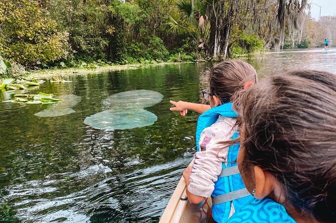 Silver Springs - Glass Bottom Kayak Rental - Out Into the Silver River Springs: Wildlife Watching Without the Theater