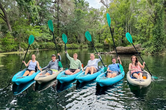Silver Springs - Glass Bottom Kayak Rental - The Glass-Bottom Advantage: What You Can Actually See