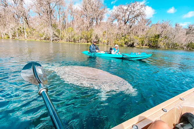 Silver Springs Glass Bottom Kayak Tour - Silver Springs Glass-Bottom Kayak Tour: What You’re Really Paying For
