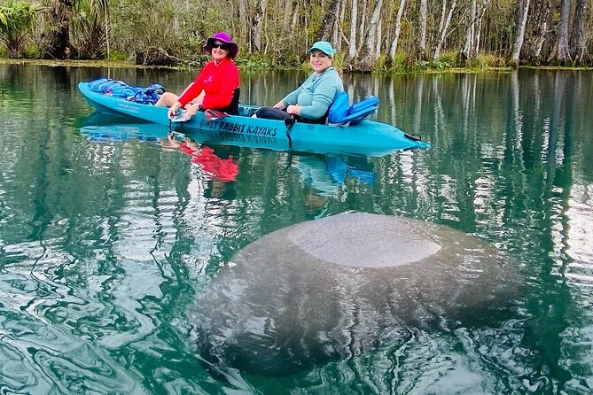 Silver Springs Glass Bottom Kayak Tour - Gear Included: Why This Saves You Time and Bulk