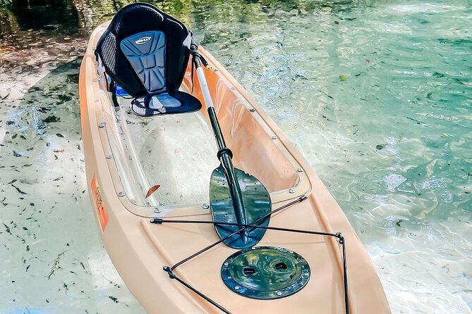 Silver Springs Glass Bottom Kayak Tour - Seeing Manatees, Turtles, and Alligators Through Glass