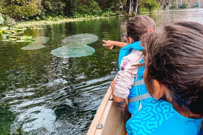 Silver Springs Glass Bottom Kayak Tour - Photo Tips That Make the Difference (Cell Phone on the Glass)