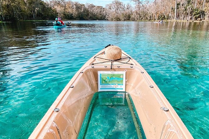 Silver Springs Glass Bottom Kayak Tour - Meeting at 5656 E Silver Springs Blvd and Launch-Day Reality
