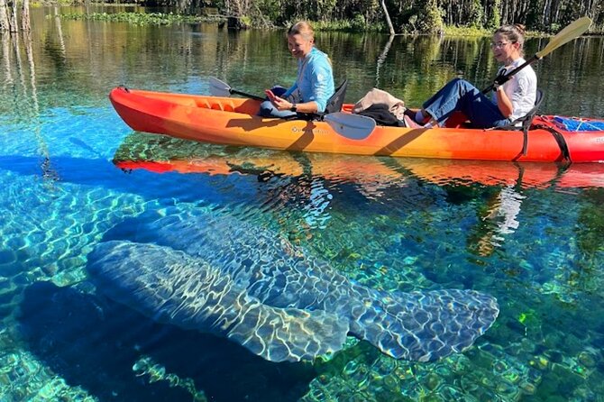 Silver Springs Jungle Kayaking and Paddleboarding - Three Paddle Zones: Silver Springs, the River, and the Park Stretch