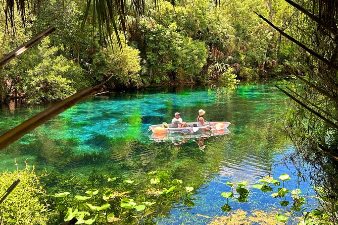 Silver Springs Jungle Kayaking and Paddleboarding - Wildlife Watching: Manatees, Alligators, Otters, Turtles, and Birds