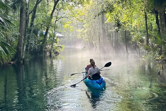 Silver Springs Kayak Rental - The Best Florida Adventure - Entering the Silver Springs River: What This Rental Really Feels Like